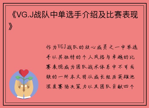 《VG.J战队中单选手介绍及比赛表现》